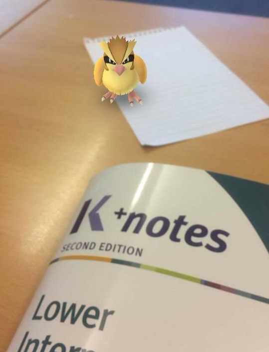 Pokémon at Kaplan