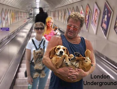 Dogs on the underground is one of the amusing topics on this podcast*